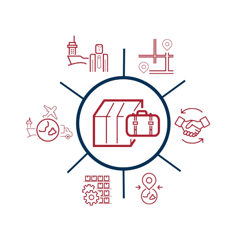 En ACCEL ¿Cómo lo logramos?